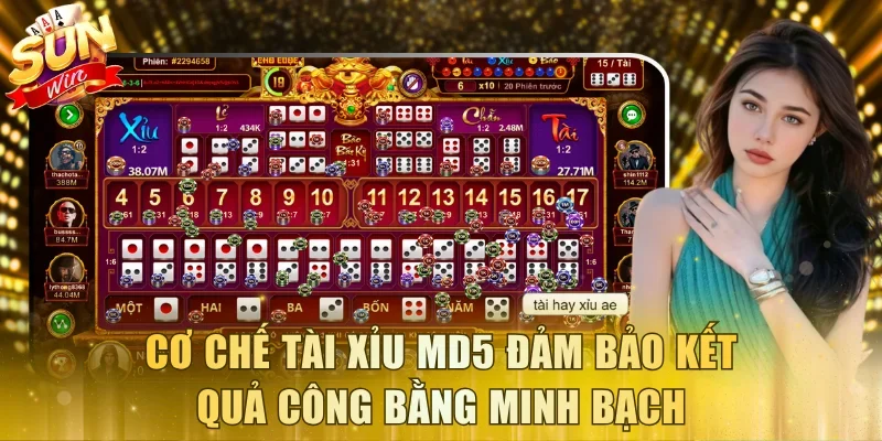 Tài Xỉu MD5